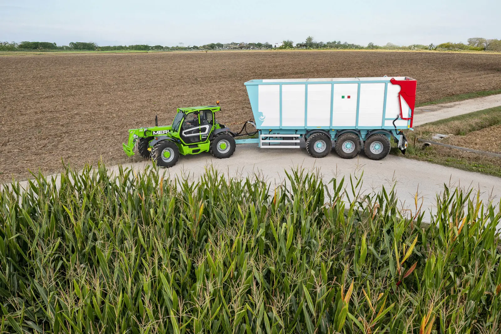 Merlo Multifarmer MF 44 zieht einen großen Anhänger an einem Maisfeld vorbei