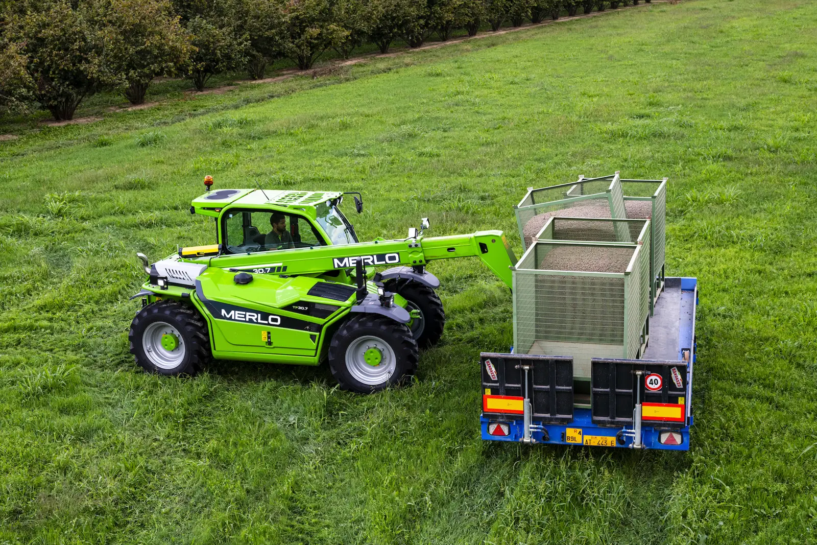 Merlo TF30.7 belädt auf einer Obstwiese einen Anhänger mit Kisten