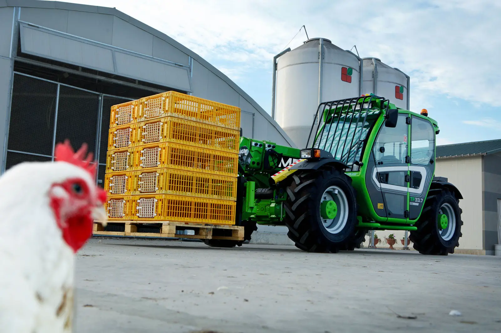 Baureihenbild zu Merlo TF 33.7-115 L: Merlo TF33.7 transportiert gestapelte Kunststoffkisten vor einem Stallgebäude